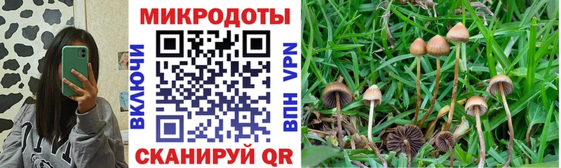 Псилоцибиновые грибы Magic Shrooms  купить наркотики сайты  Нарьян-Мар 